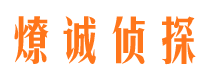 环江市调查公司